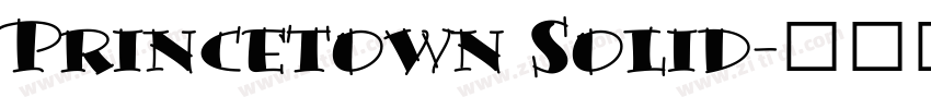 Princetown Solid字体转换